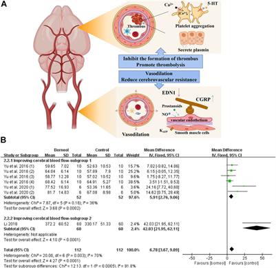 Progress in Borneol Intervention for Ischemic Stroke: A Systematic Review